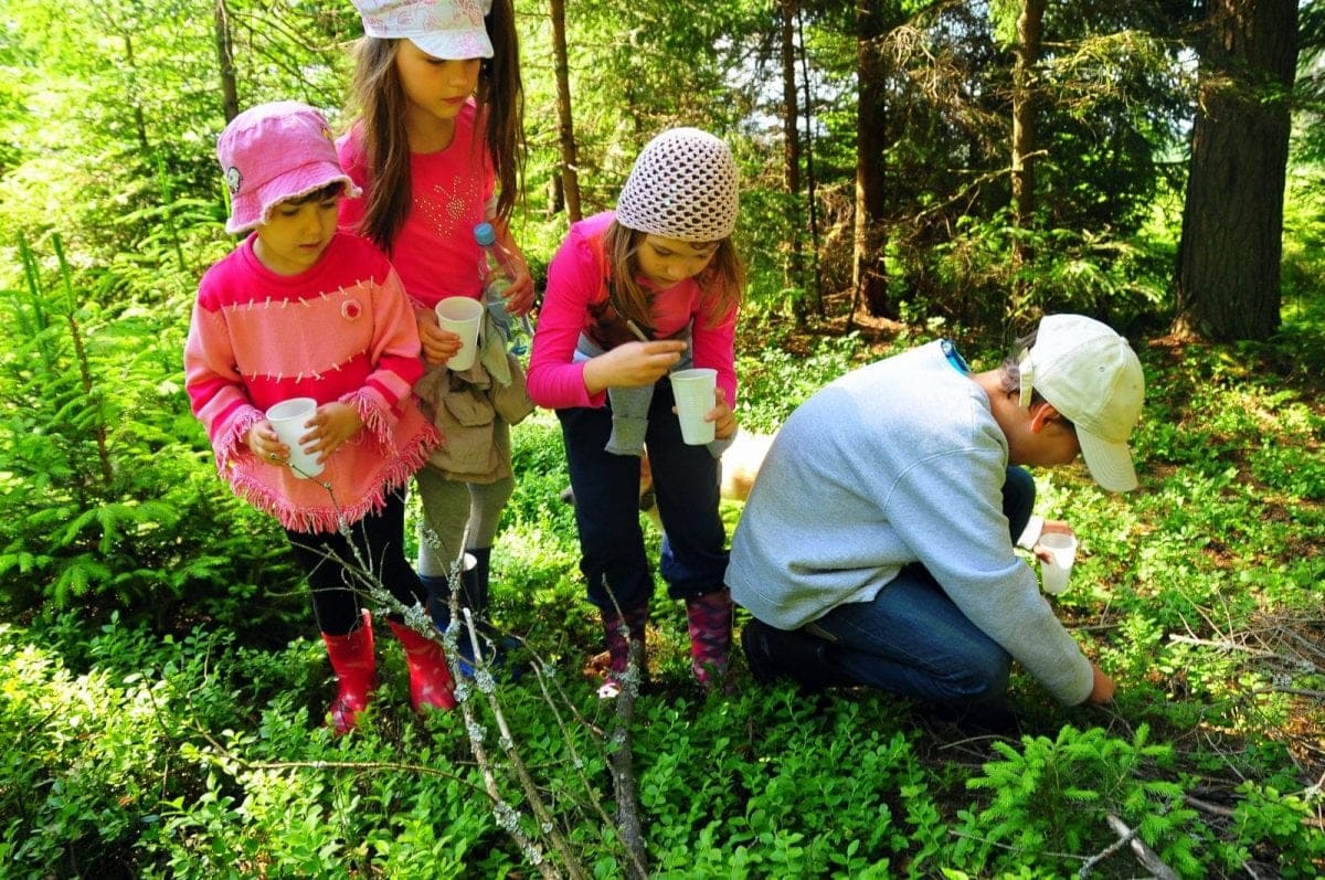 Our Resources Back Yard Nature Center